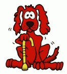 Chinese Herbal Formula for Dogs & Cats