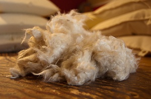 Organic Cotton Covered Natural Kapok Pillows from Abundant Earth