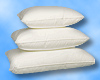 Organic Sheets, Comforters, Pillows, Futons, Mattresses and More!